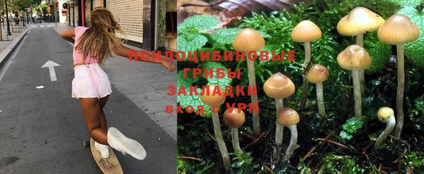ALPHA PVP Заполярный