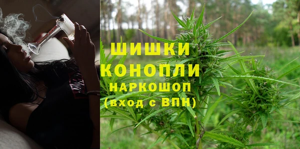 бошки Заречный