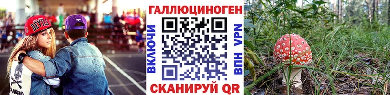 ОМГ ОМГ ТОР  Киселёвск  Галлюциногенные грибы MAGIC MUSHROOMS  как найти наркотики 